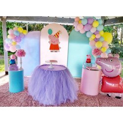Modern Decor Package #3 Peppa Pig
