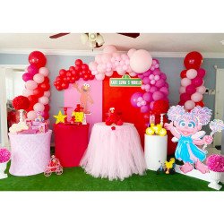 Modern Decor Package #4 Sesame Street