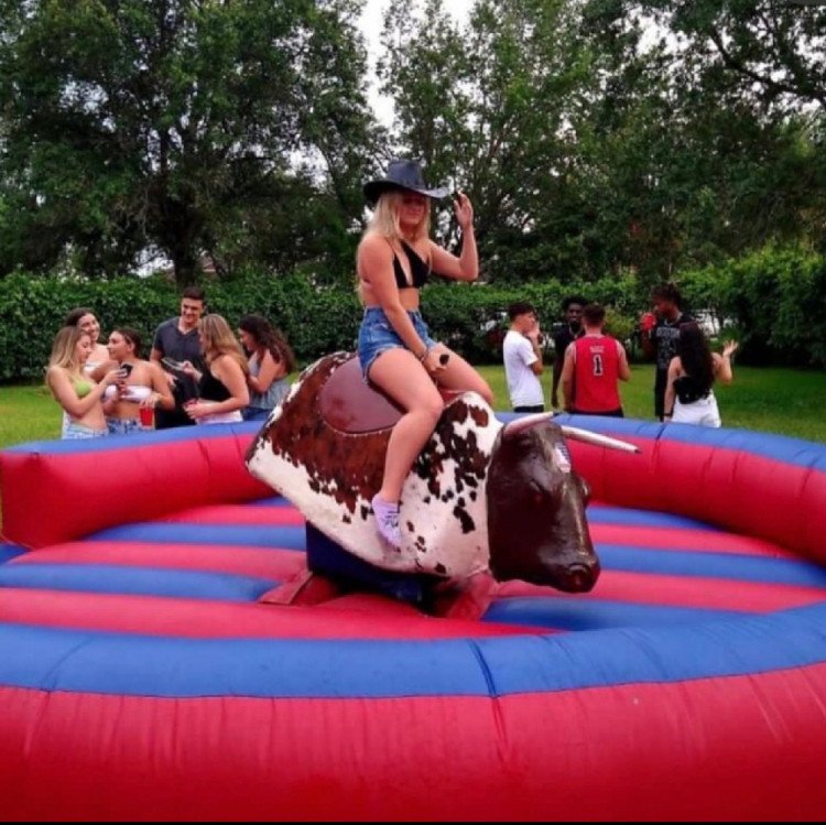 Mechanical Bull