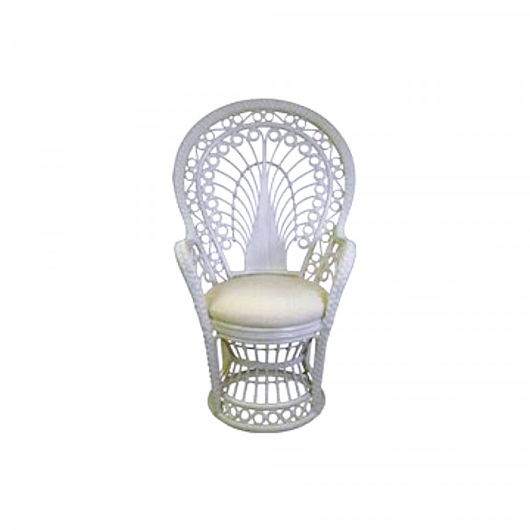 Baby Shower Chairs