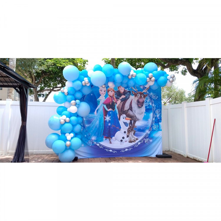 Frozen Rectangular Backdrop Frozen Rectangular Backdrop