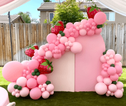 Modern Decor Package #2 Strawberry Shortcake