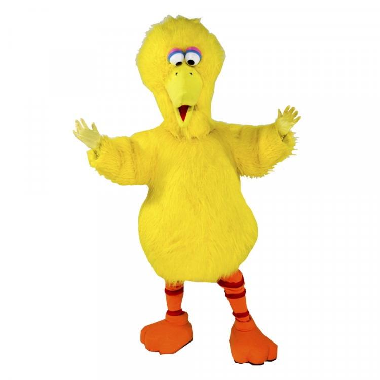 Big Bird Big Bird