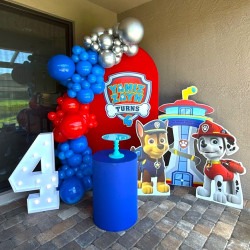 Small Modern Decor Package Paw Patrol
