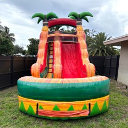 Imagen20de20WhatsApp202025 07 0320a20las2016.06.39 80918248 1 15 Ft Tropical Fiesta Breeze