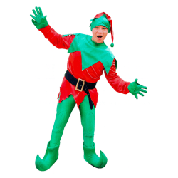 Christmas Elf