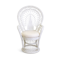 Baby Shower Chairs