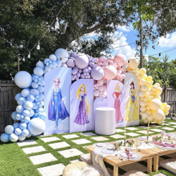 Modern Decor Package #4 Princesses