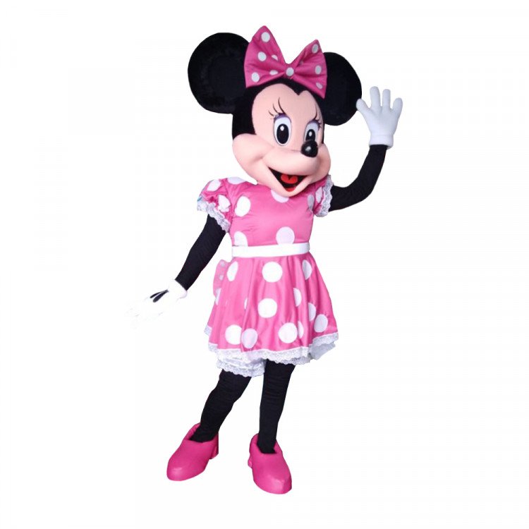 Deluxe Pink Minnie Mouse 1HR
