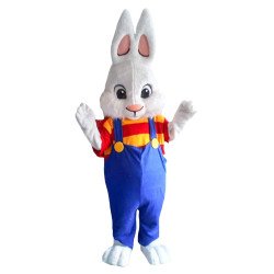 Boy Bunny Boy Bunny