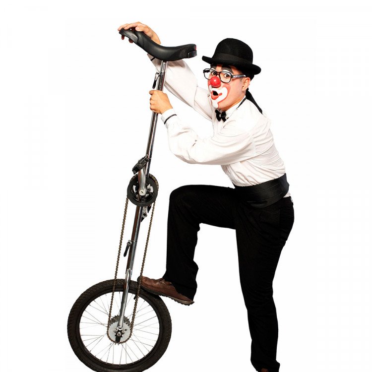 Unicycle