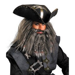 Captain Gray Beard