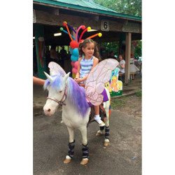Fairy20Ponies20Unicorns2.1 1625286633 Fairy Ponies (Unicorns)