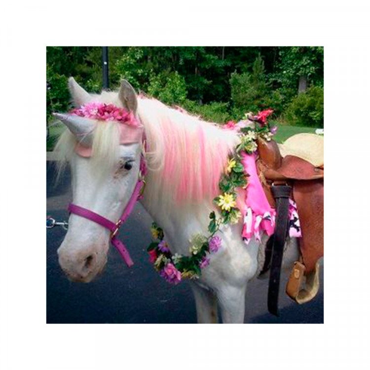 Fairy Ponies (Unicorns) Fairy Ponies (Unicorns)