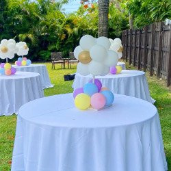 CP202 1661462904 Balloon Centerpieces