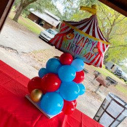 CP203 1661462904 Balloon Centerpieces