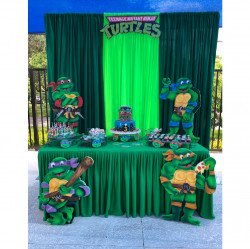 Classic Decor Package #3 Ninja Turtles