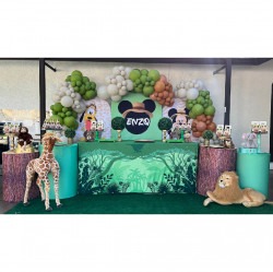 Modern Decor Package #4 Mickey Safari