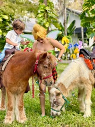 basicponies 1733779822 Basic Ponies
