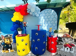 Modern Decor Package #2 Paw Patrol