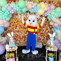 Imagen20de20WhatsApp202025 04 2020a20las2013.07.19 1646ba6f 1 Boy Bunny
