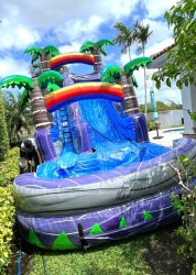 Imagen20de20WhatsApp202025 04 0420a20las2011.11.48 f195dbf3 1 16 Ft Purple Plunger Waterslide