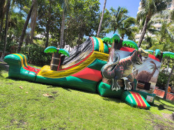 Imagen20de20WhatsApp202025 05 1620a20las2011.18.43 e69b4b78 1 4 In 1 T-Rex Dinosaur Combo
