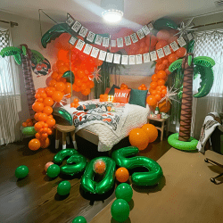 Bed Party College Reveal Package #1
