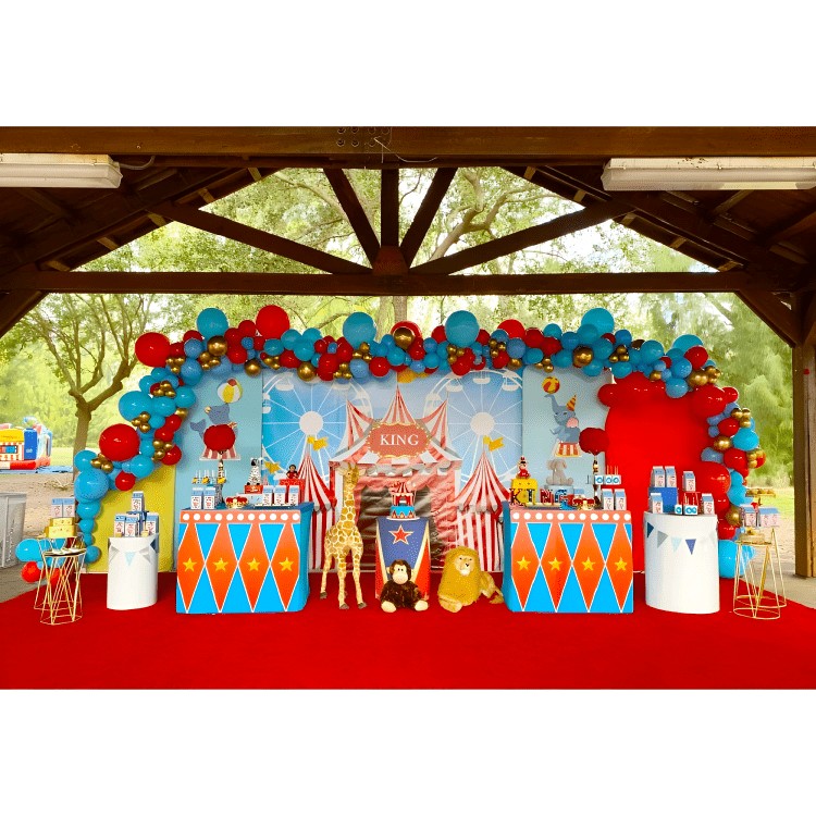 Modern Decor Package #6 Circus B Modern Decor Package #6 Circus B
