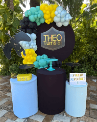 Modern Decor Package #1 How to Train Your Dragon