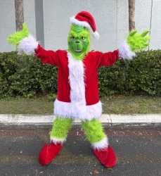 grinch 1764782179 Deluxe Grinch
