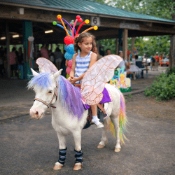 Fairy20Ponies20Unicornsss 1767653135 Fairy Ponies (Unicorns)