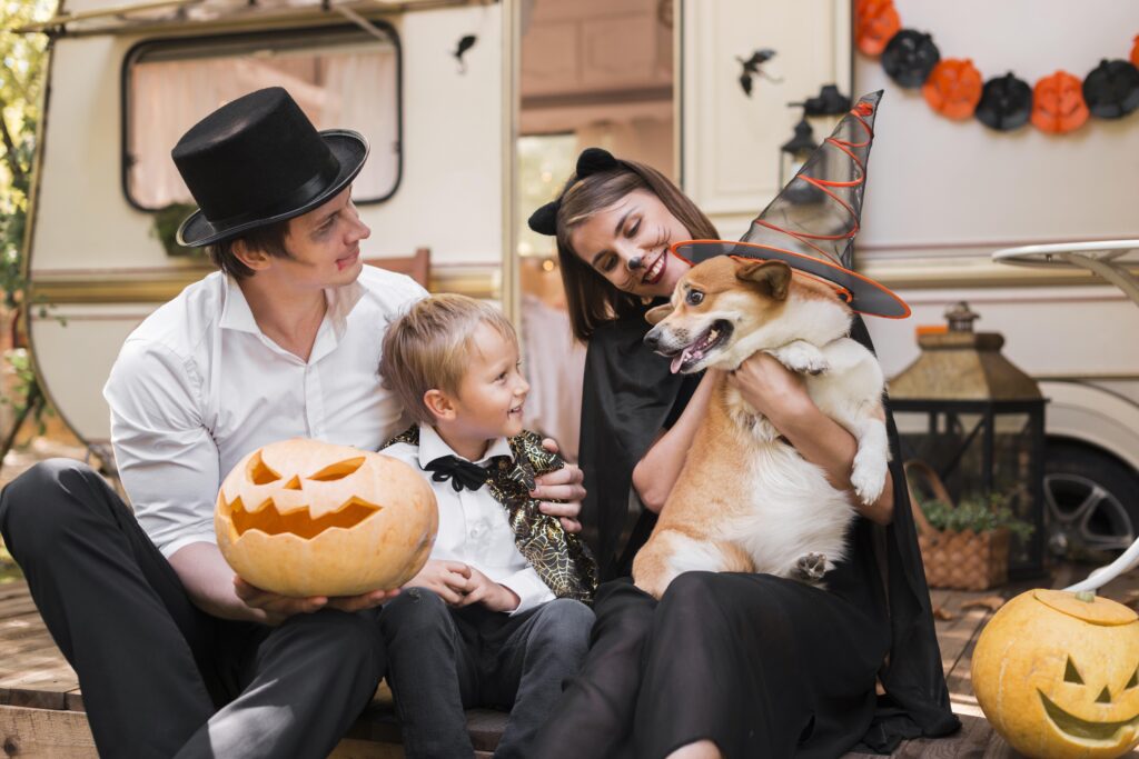 Best Party Rentals in Broward